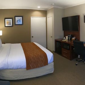 Chambre Standarde Lit King-Size